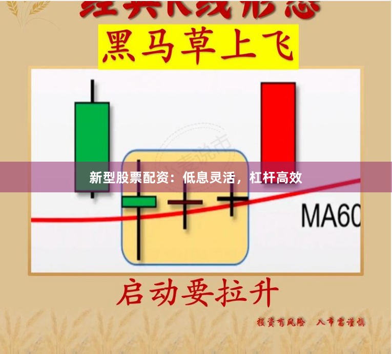 新型股票配资：低息灵活，杠杆高效